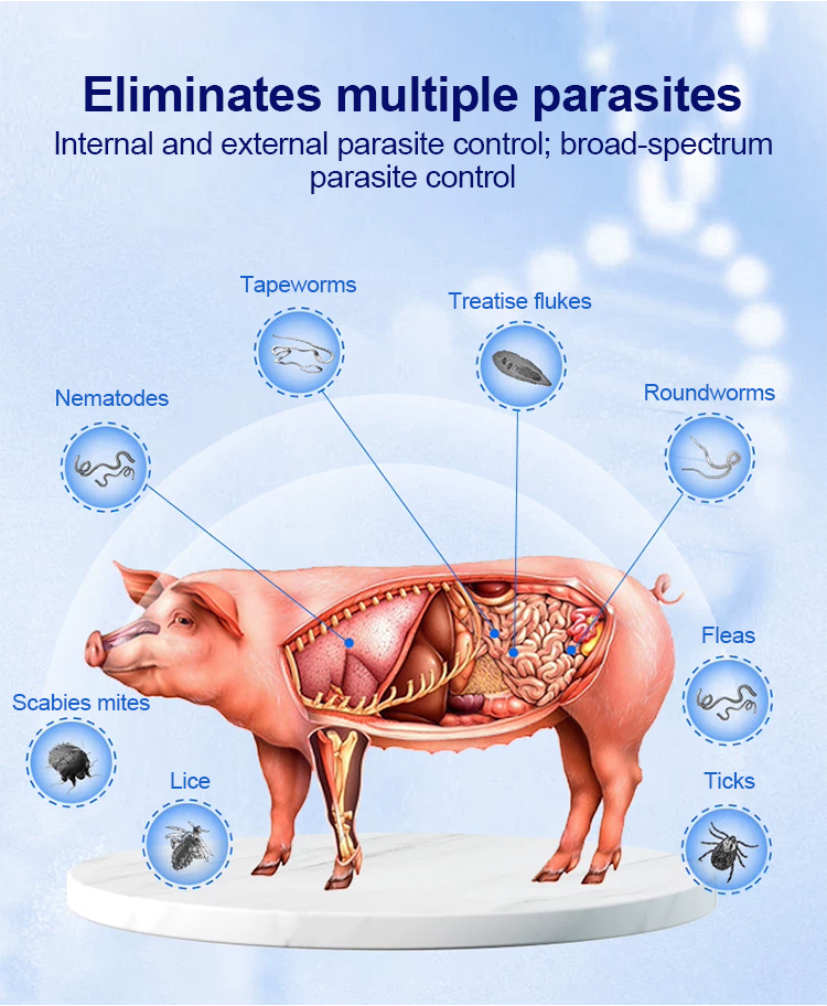 IverProtect™ – produs veterinar pentru bovine și ovine